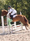 DSC03557 DSC03557