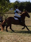 DSC04846 DSC04846
