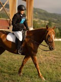 DSC05916 DSC05916
