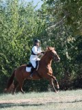 DSC_6018 DSC_6018