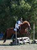 DSC_6019 DSC_6019