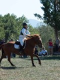 DSC_6020 DSC_6020