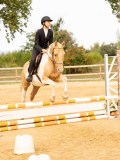 DSC08855 DSC08855
