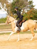 DSC08858 DSC08858