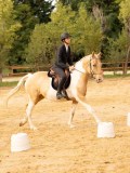 DSC08860 DSC08860