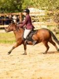 DSC07919