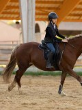 DSC07443 DSC07443