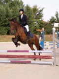 DSC07790 DSC07790
