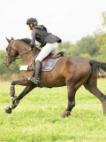MAX02207