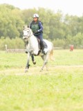MAX02219