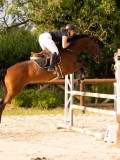 DSC05071