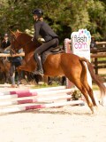 DSC04324 DSC04324