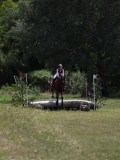 IMG_3849 IMG_3849