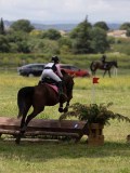 IMG_3855 IMG_3855
