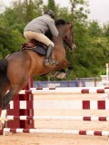 DSC00158 DSC00158