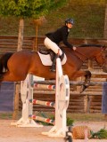 DSC04780 DSC04780