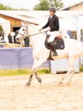 DSC01727 DSC01727