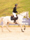DSC01739 DSC01739