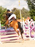 DSC06599 DSC06599