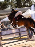 DSC04598 DSC04598