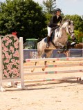 DSC08260 DSC08260