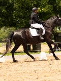 DSC03556 DSC03556
