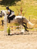 DSC06658 DSC06658