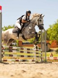 DSC06659 DSC06659