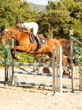 DSC08549 DSC08549