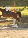 DSC08552 DSC08552