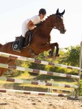 DSC08554 DSC08554