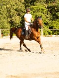 DSC08555 DSC08555