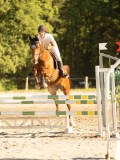 DSC08557 DSC08557