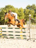 DSC08558 DSC08558