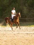 DSC08559 DSC08559