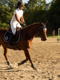 DSC08564 DSC08564