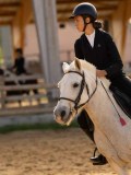 DSC07929 DSC07929