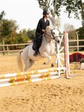 DSC07931 DSC07931