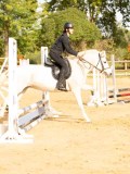 DSC07935 DSC07935