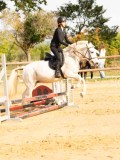 DSC07938 DSC07938