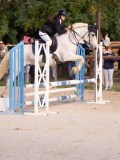 DSC07815 DSC07815