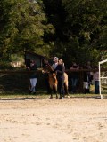 DSC00586
