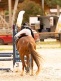 DSC08445 DSC08445