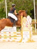 DSC08935 DSC08935
