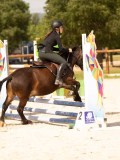 DSC04338 DSC04338