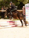 DSC04344 DSC04344