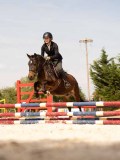 DSC04345 DSC04345