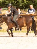 DSC04354 DSC04354
