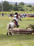 IMG_3928 IMG_3928