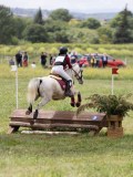 IMG_3929 IMG_3929